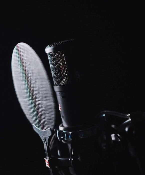 Close-up van een zwarte SE-2300-microfoon met popfilter in een zangcabine. | © Plug The Jack